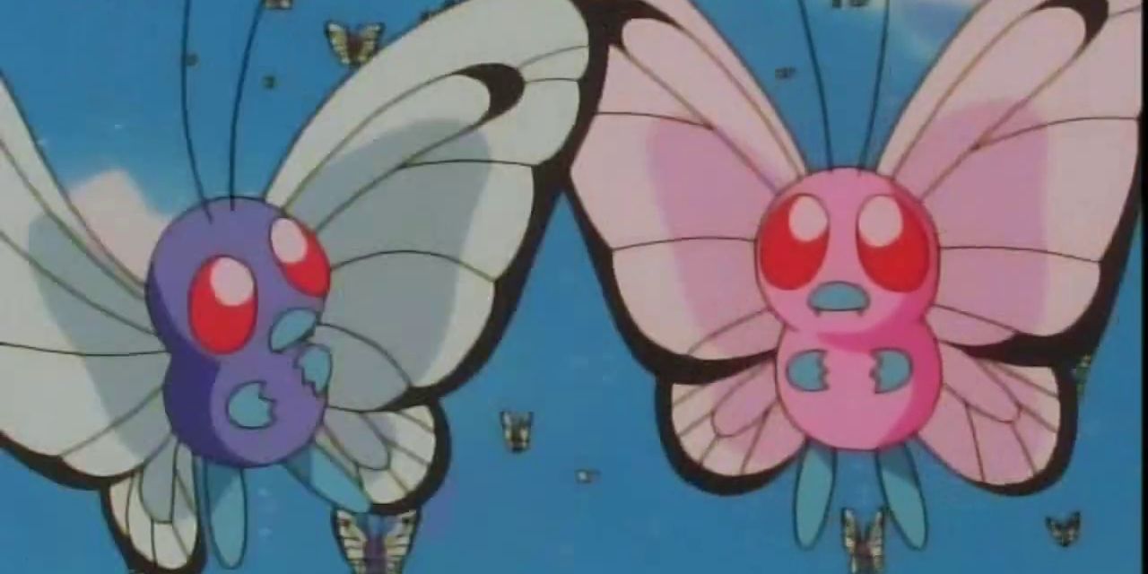 Ash's Butterfree and his mate from Pokémon