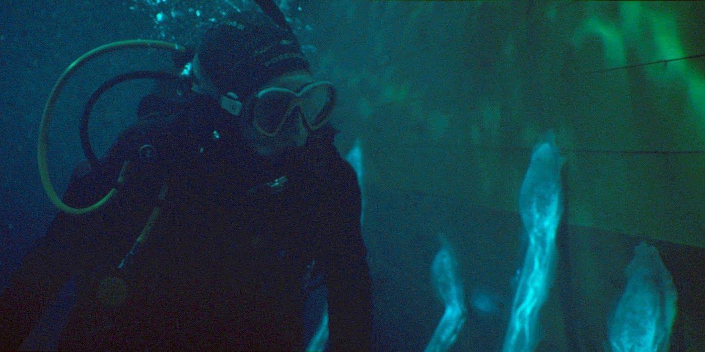 Sea Fever's Scary Twist, Explained