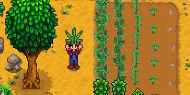 Stardew Valley Linus Is Secretly Rich But Ashamed Of His Past Stardew Valley Linus Is Secretly Rich But Ashamed Of His Past
