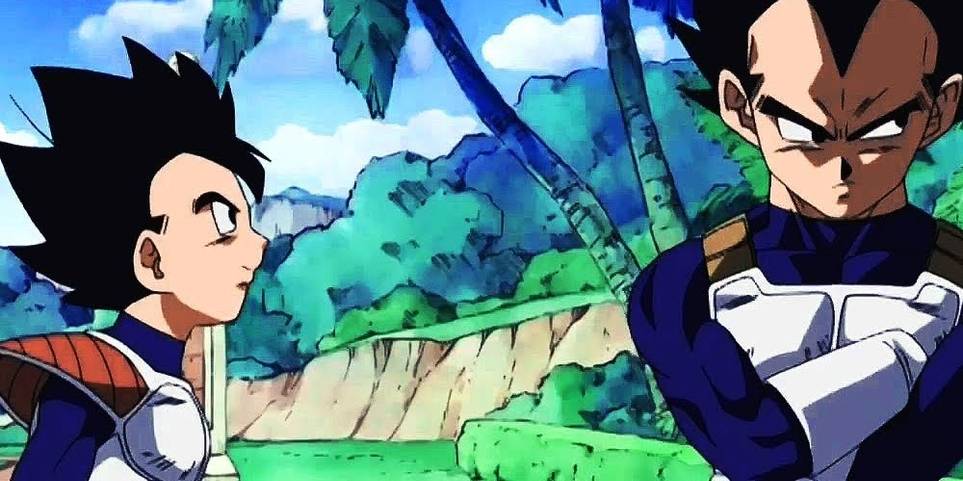 Dragon Ball 10 Facts You Didn T Know About Vegeta S Brother Turner Blog 3348