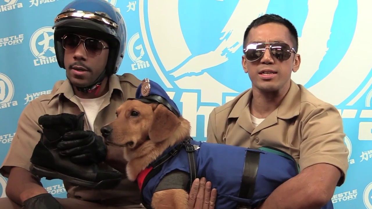 Officer Magnum: The Pro Wrestling Policeman (Who Is Also a Dog), Explained