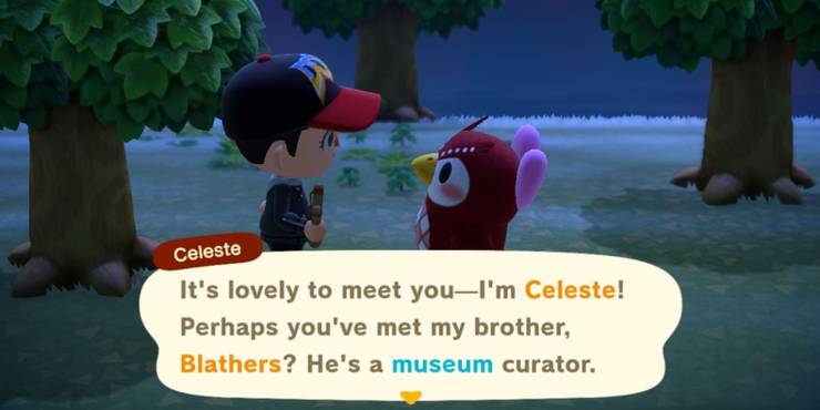 Animal Crossing New Horizons 4 Features We Want To See Cbr