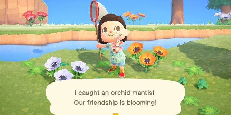 Animal Crossing New Horizons Bug Guide And Complete List Polygon In 2020 Animal Crossing Orchid Mantis Atlas Moth