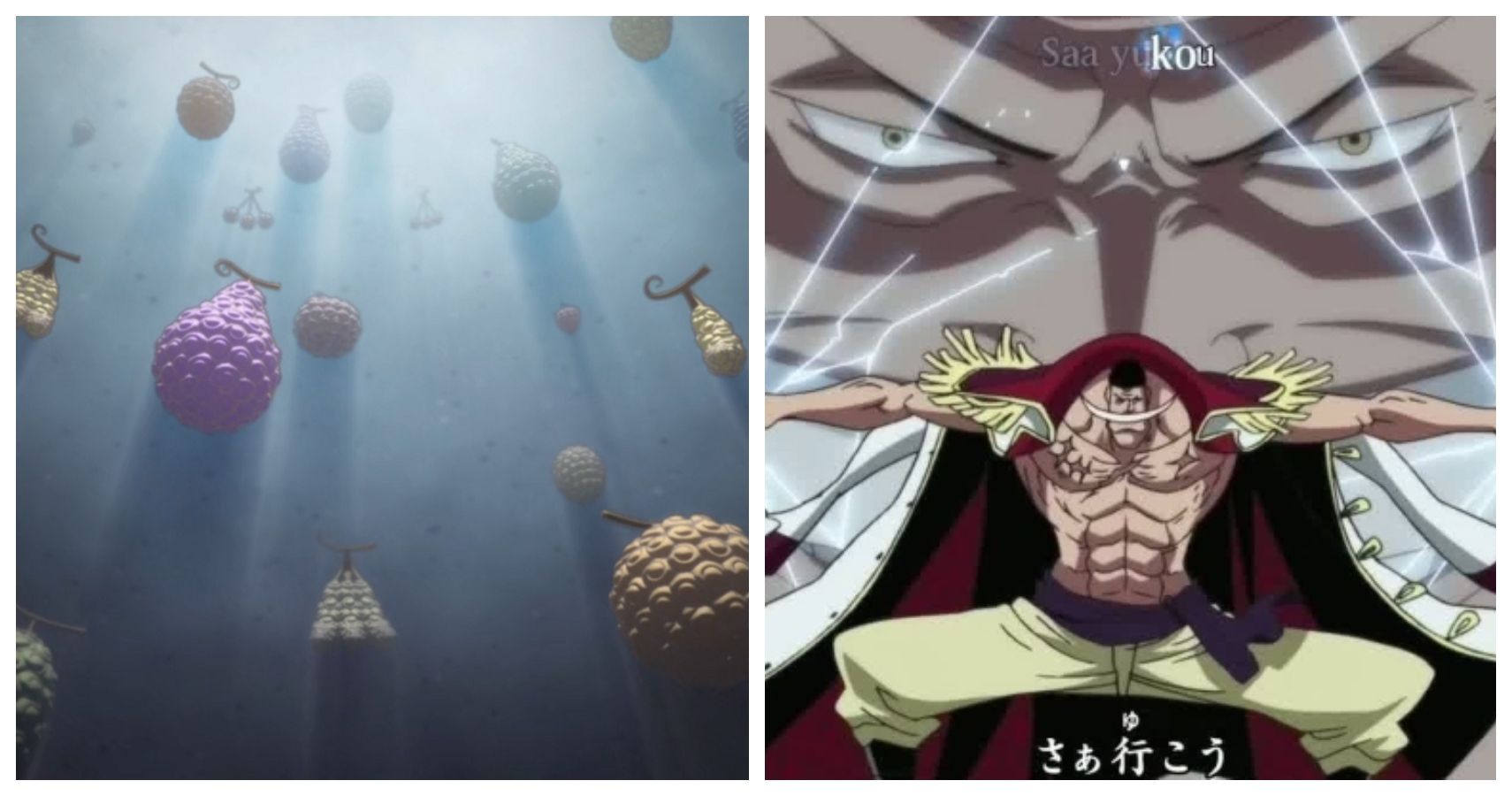 Fujitora's Zushi-Zushi No Mi (The Gravity Fruit) - One Piece