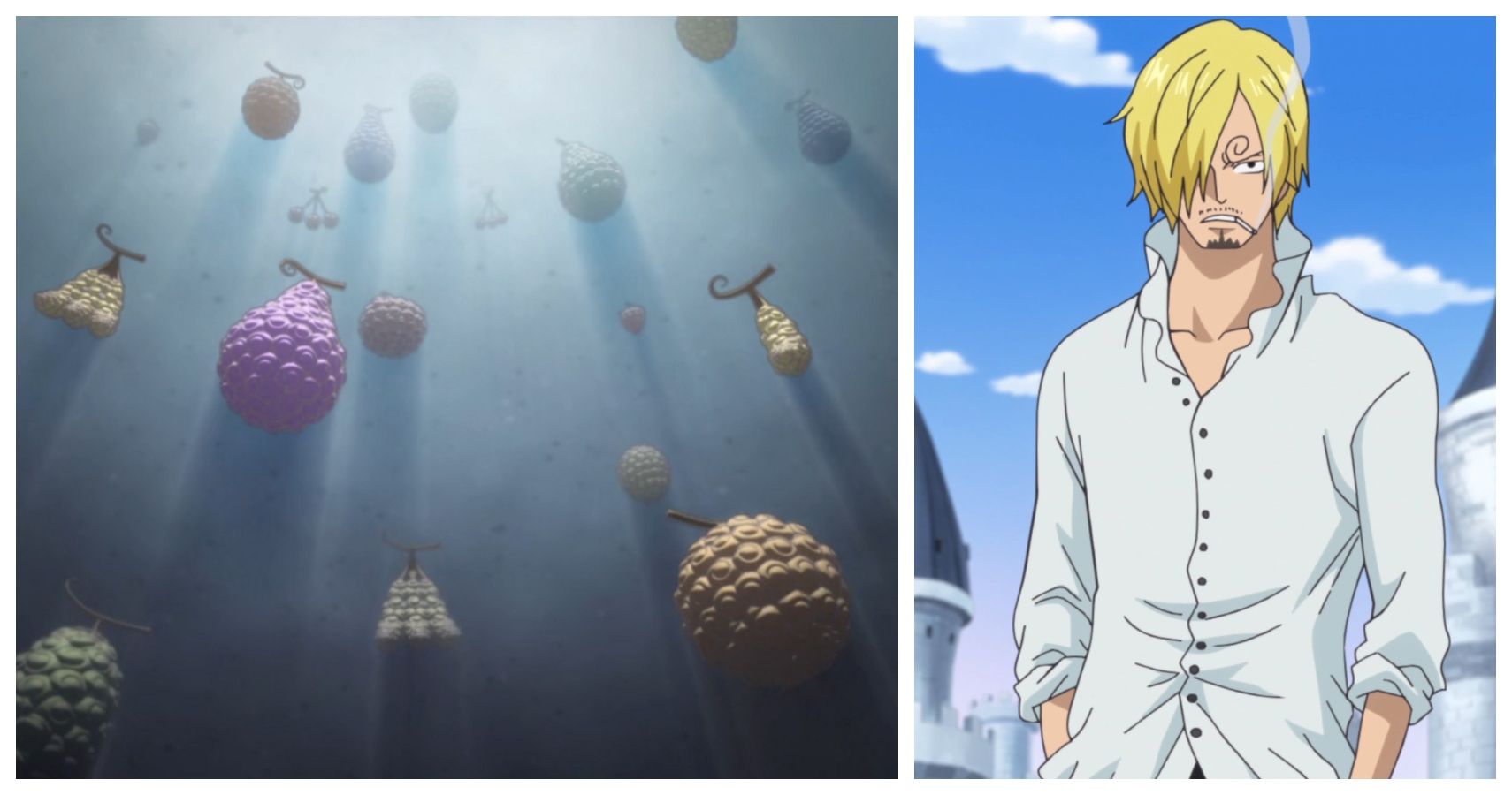 One Piece Sanji Devil Fruit