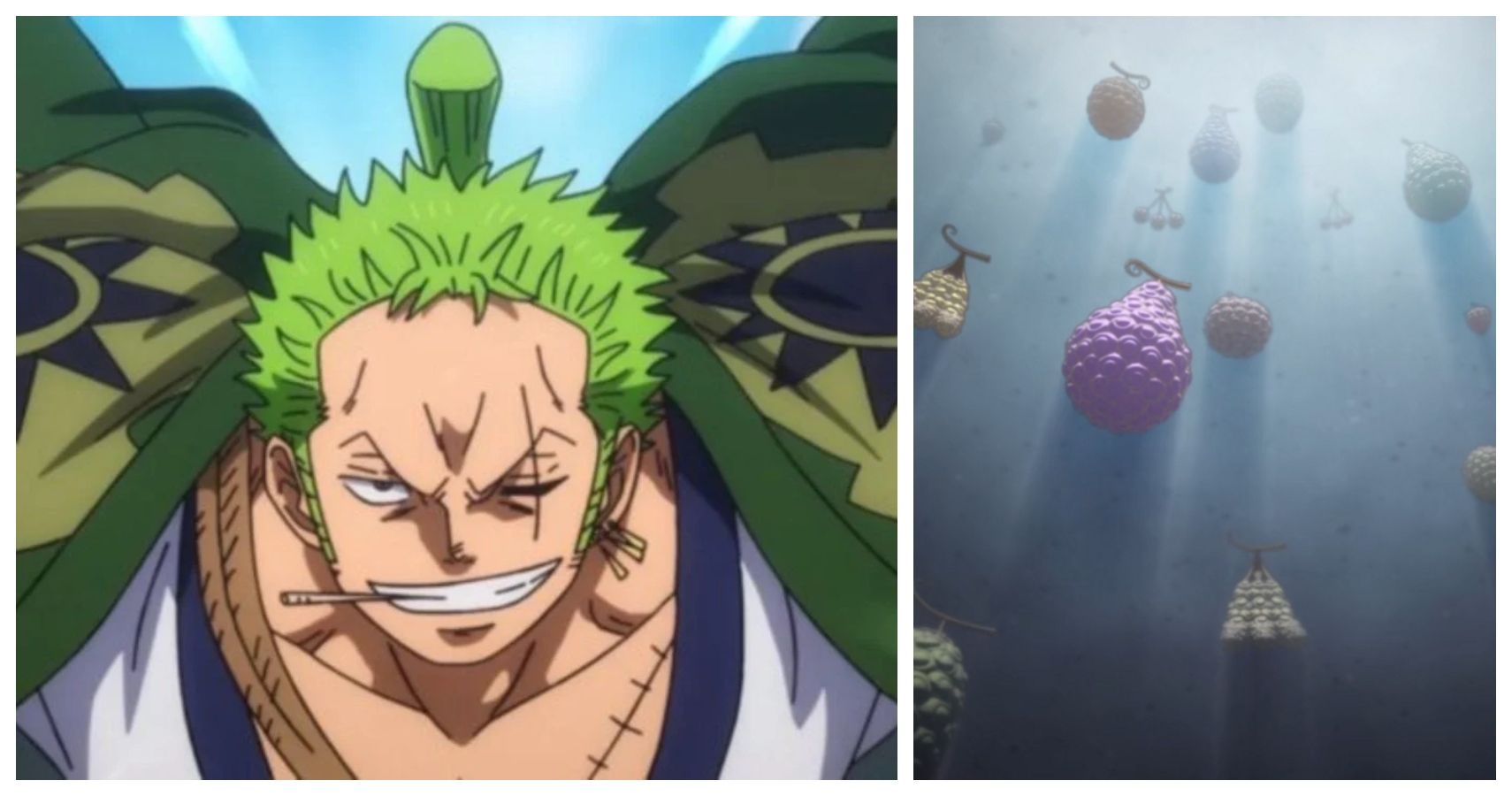 Questions & Mysteries - What devil fruit would suit Zoro?