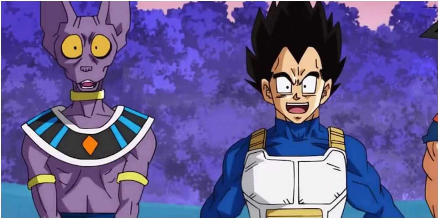 Dragon Ball Anime Beerus and Vegeta Side By Side wide eyes