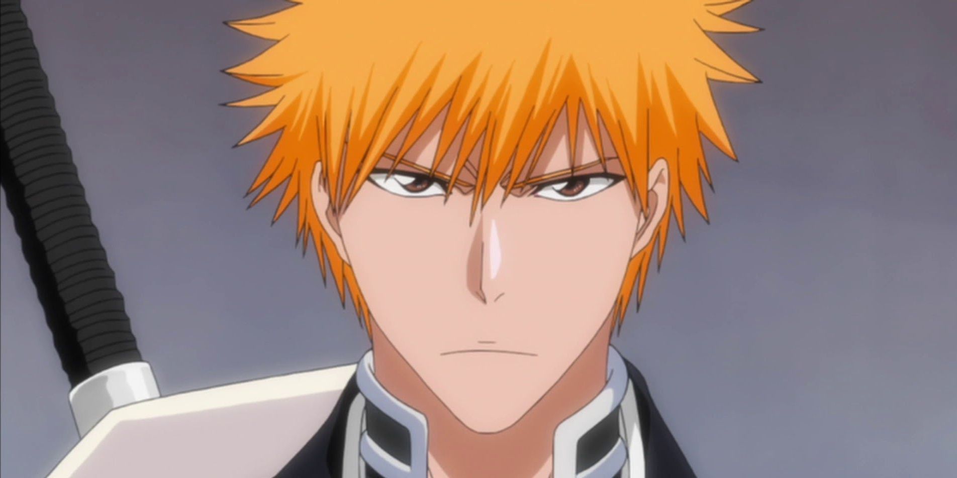 Bleach (season 5) - Wikipedia