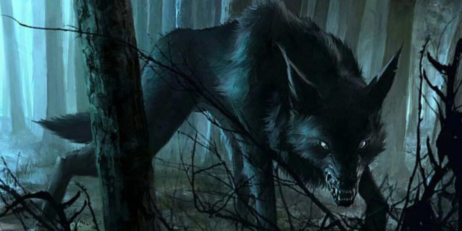 Собака в лесу ночью
