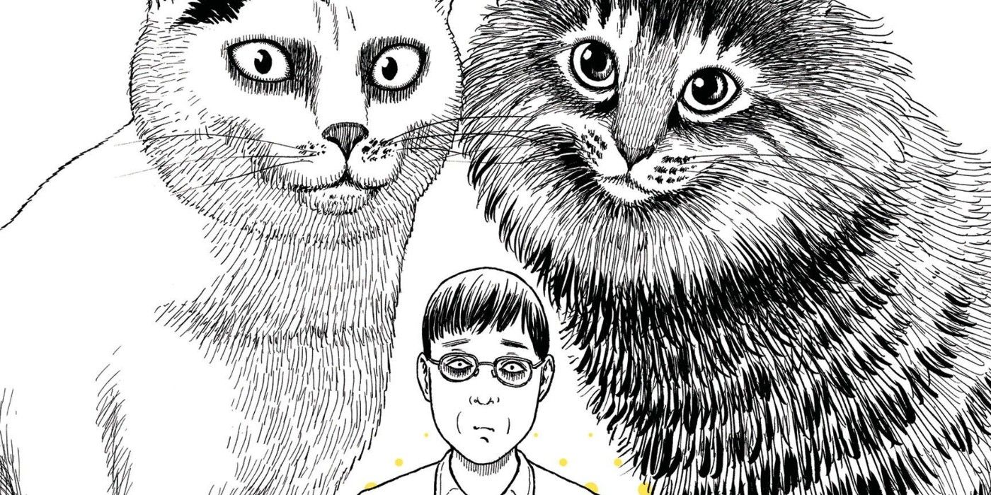 JUNJI-ITO-CAT-DIARY-YON-AND-MU-COVER