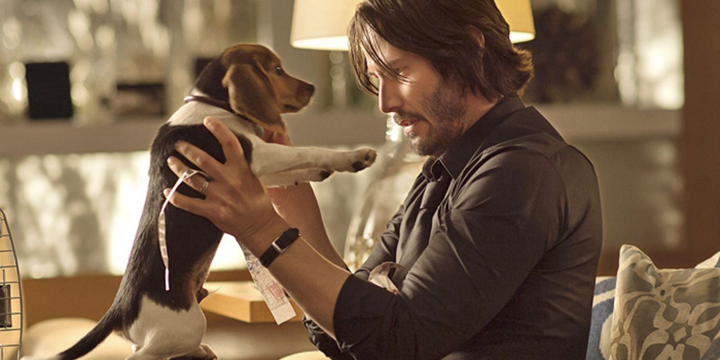 John-Wick-Dog-Header