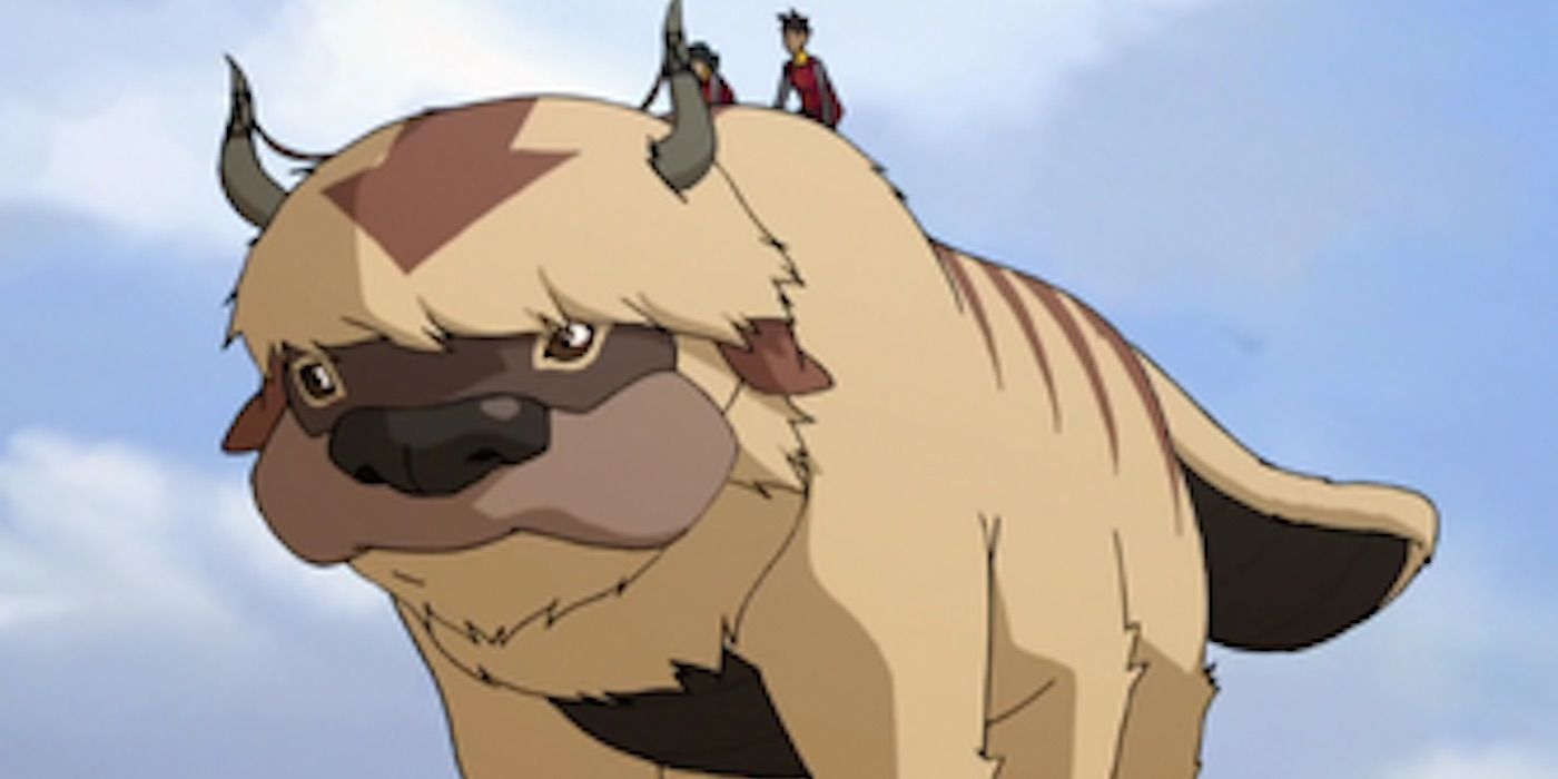 Животное аанга. Аватар аанг аппа. Аппа аватар легенда об корре. Животное аанга. Аанг и аппа.