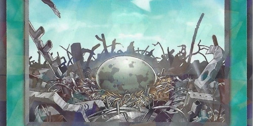Raid Raptors Yu-Gi-Oh: Best Raidraptor Cards