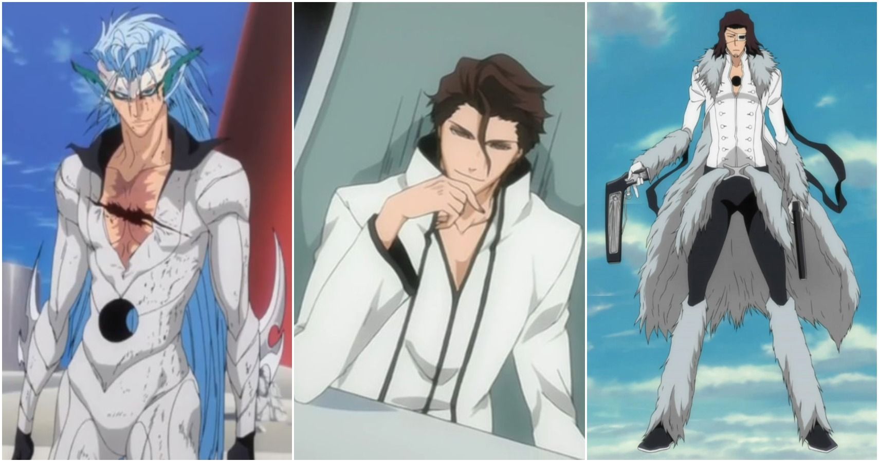 Which Bleach Character Are You Based On Your Chinese Zodiac Sign?