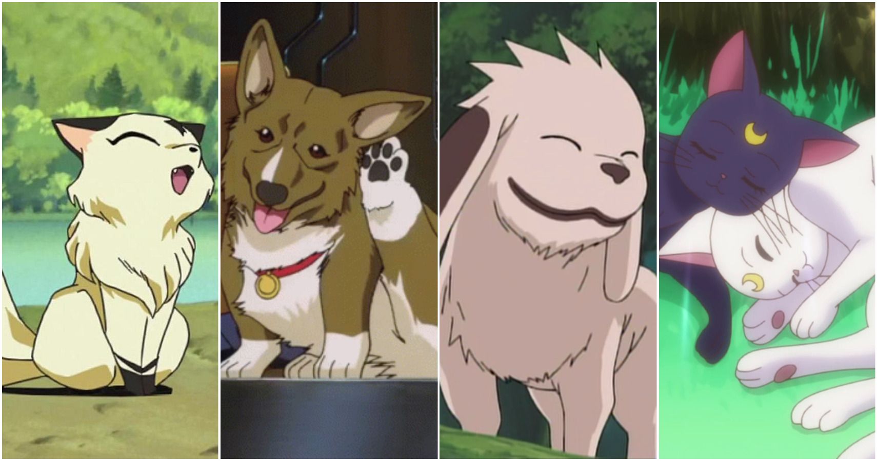 10 Most Iconic Pets In Anime History, Ranked