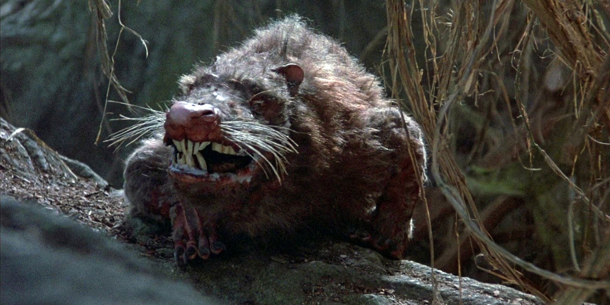 A rodent of unusual size, from The Princess Bride
