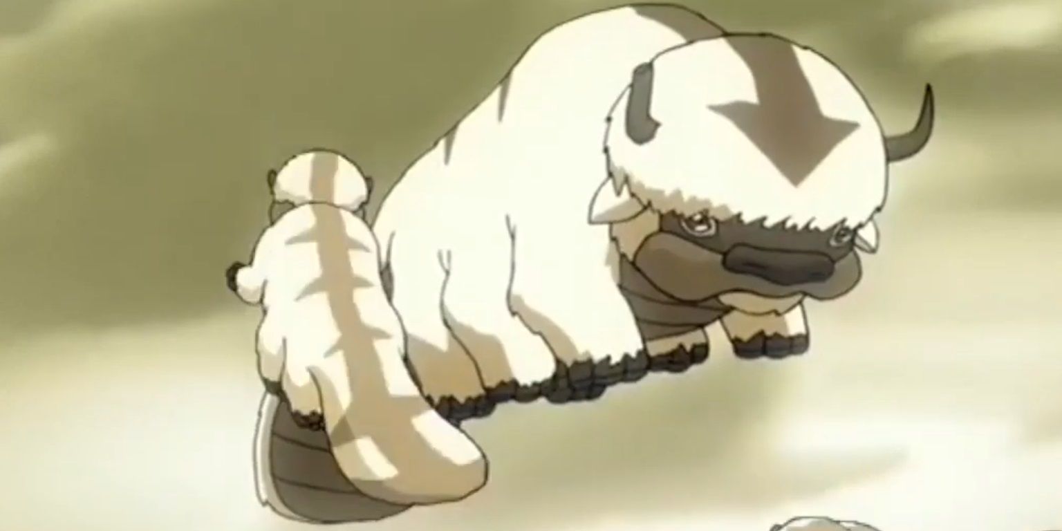 Avatar 10 Things You Didnt Know About Appa