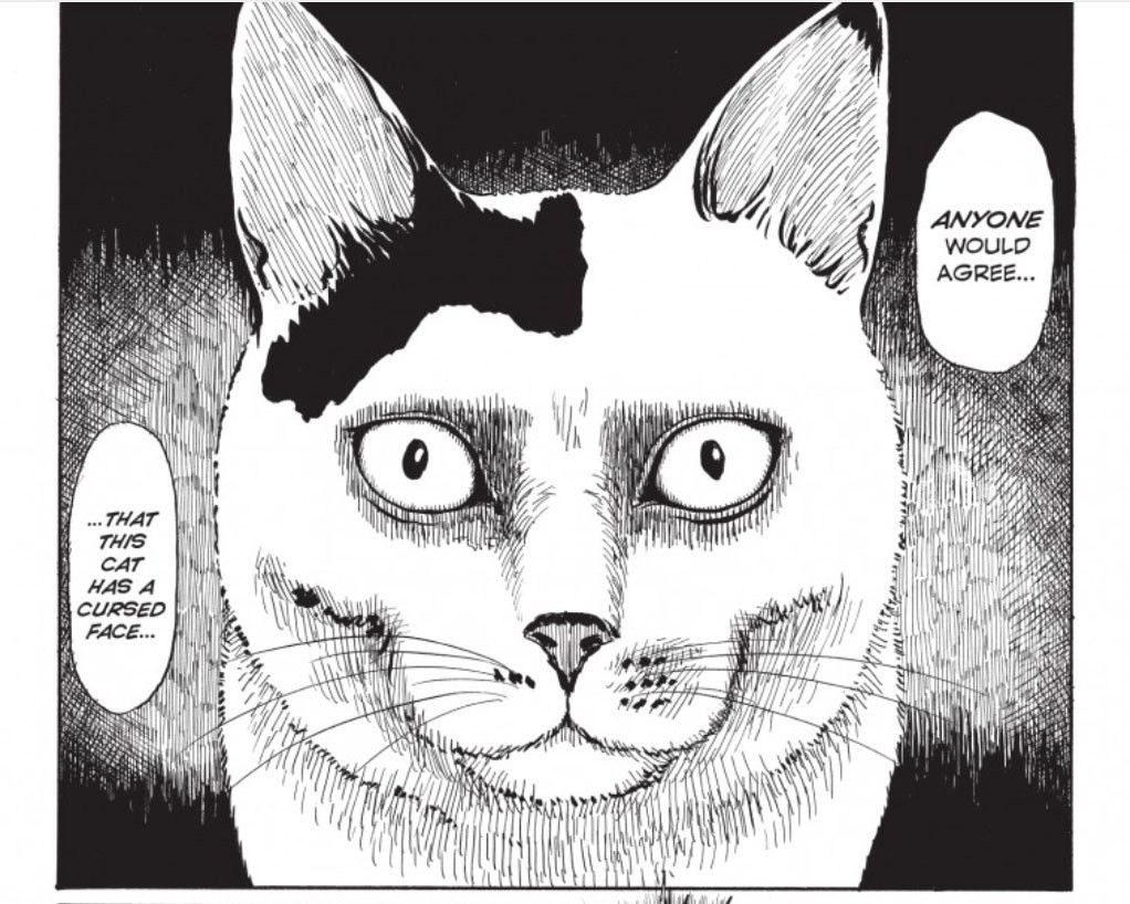 Junji Ito: 5 Horror Stories That Deserve An Animated Adaptation (& 5 That Don't)