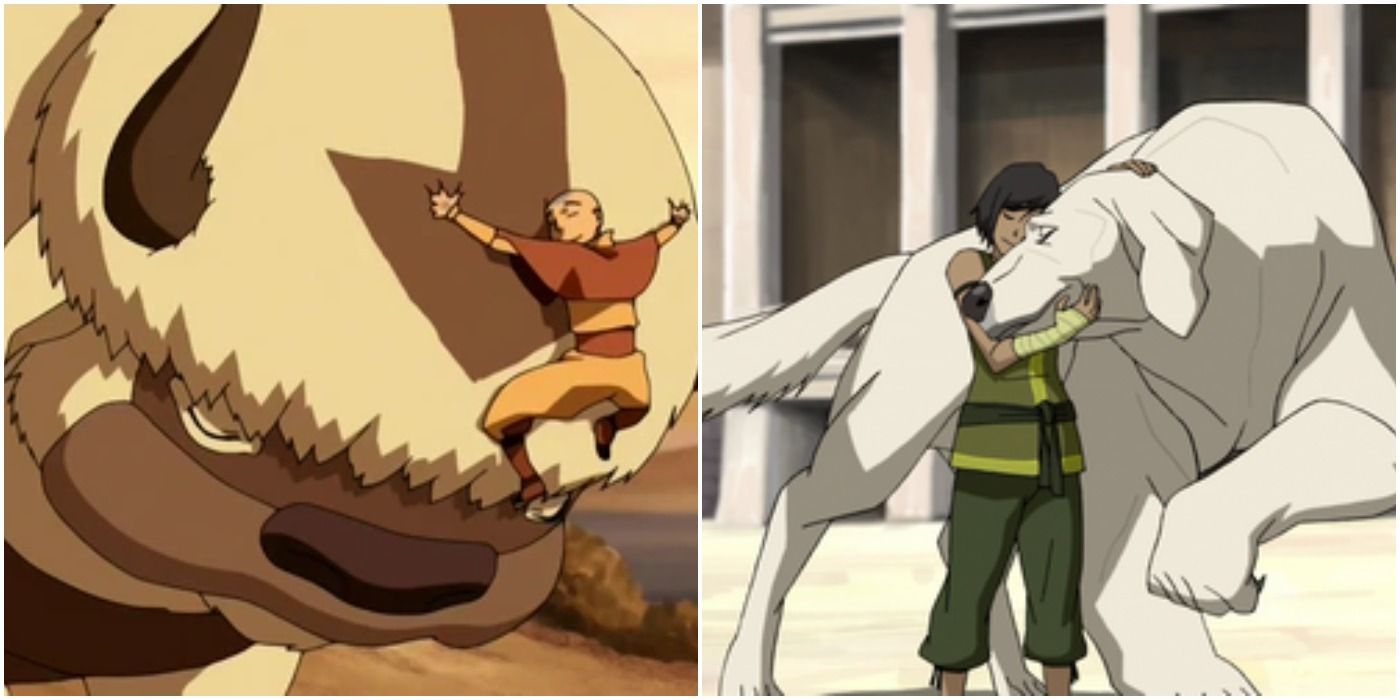 Avatar 10 Things You Didnt Know About Appa