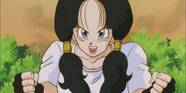 Dragon Ball 9 Things About Videl That Make No Sense Dragon Ball 9 Things About Videl That Make No Sense