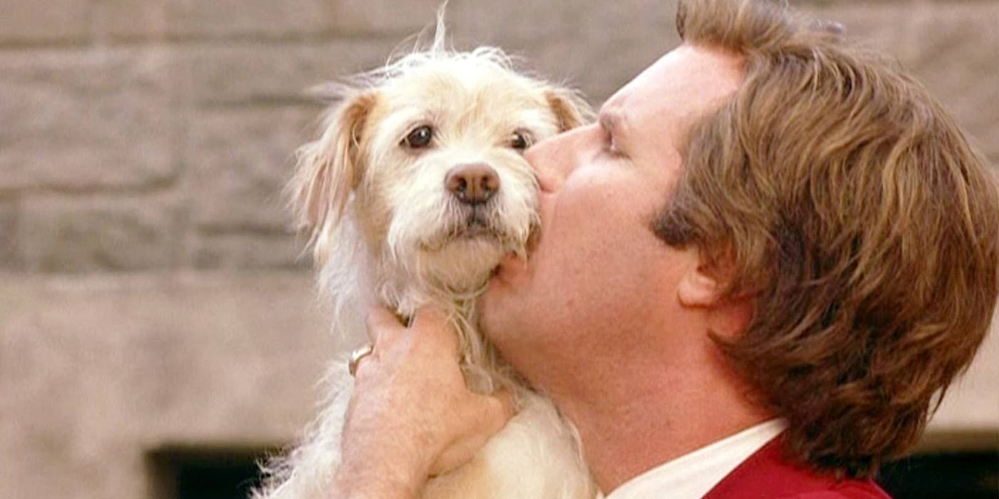 Ron Burgundy's dog, Baxter, from Anchorman