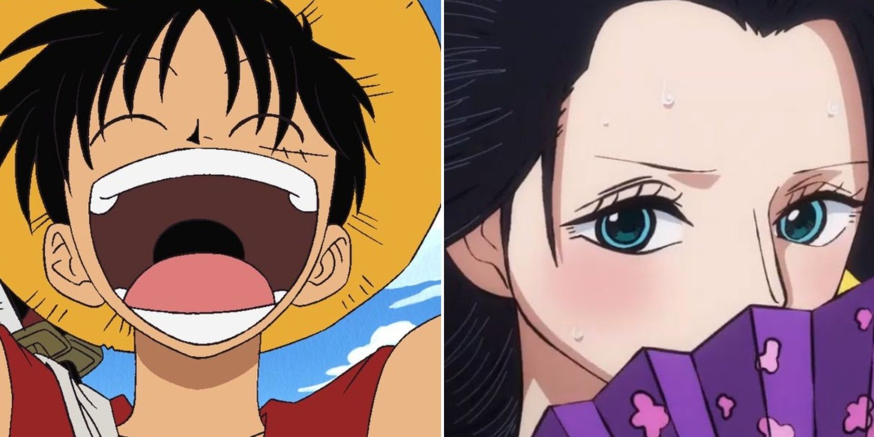 Nico Robin's Hana Hana No Mi-One Piece Discussion 