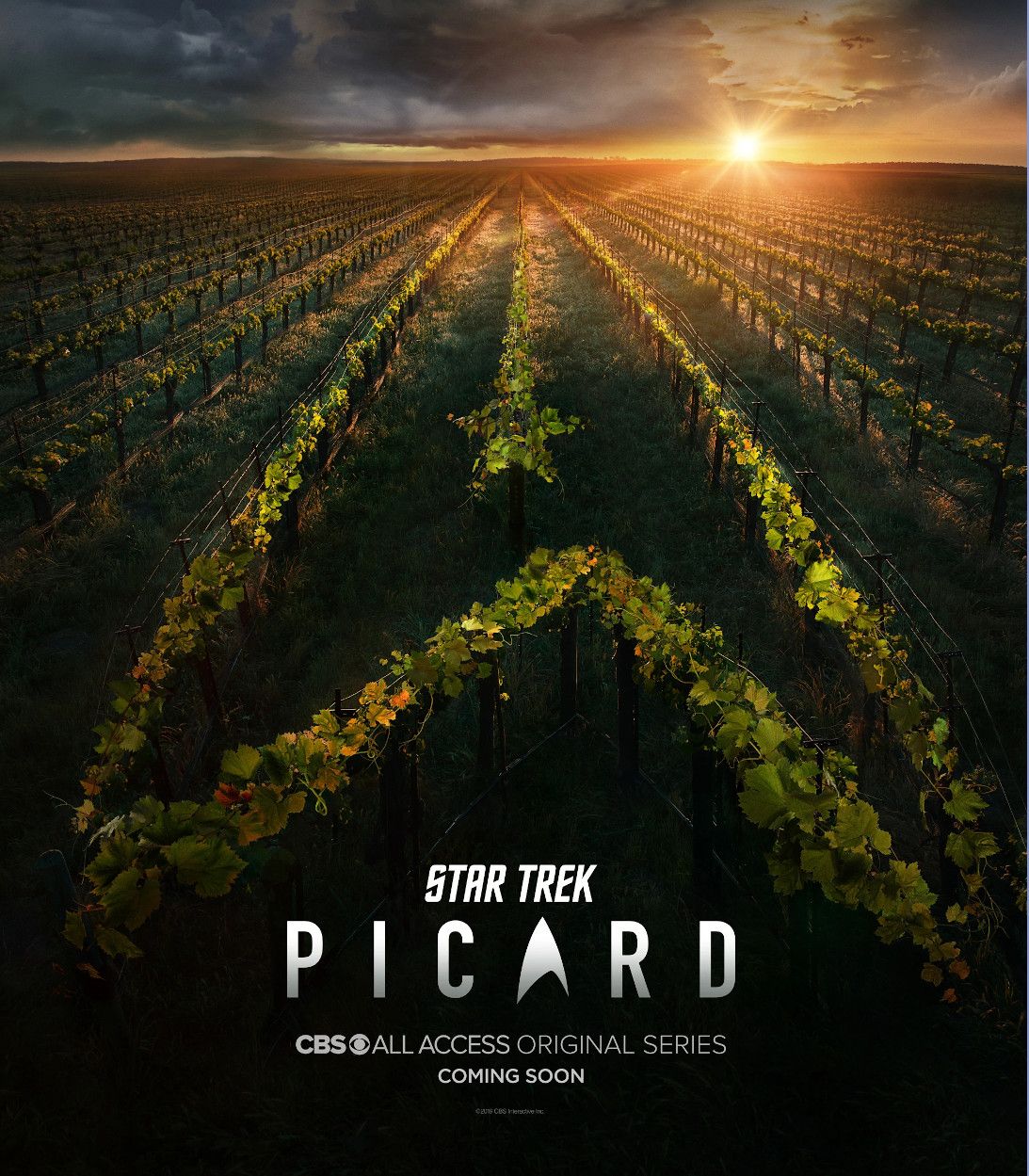 1093 Star Trek Picard poster