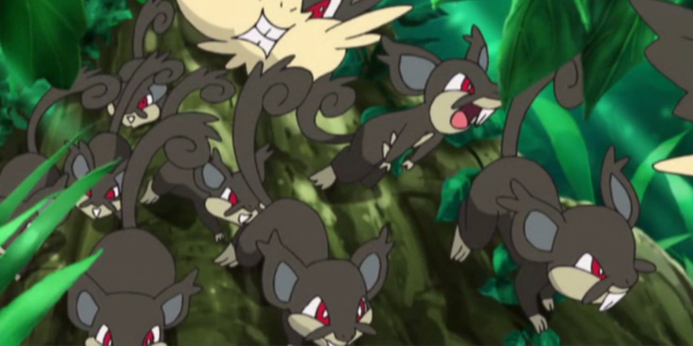 Alolan Rattata and Raticate in Pokemon