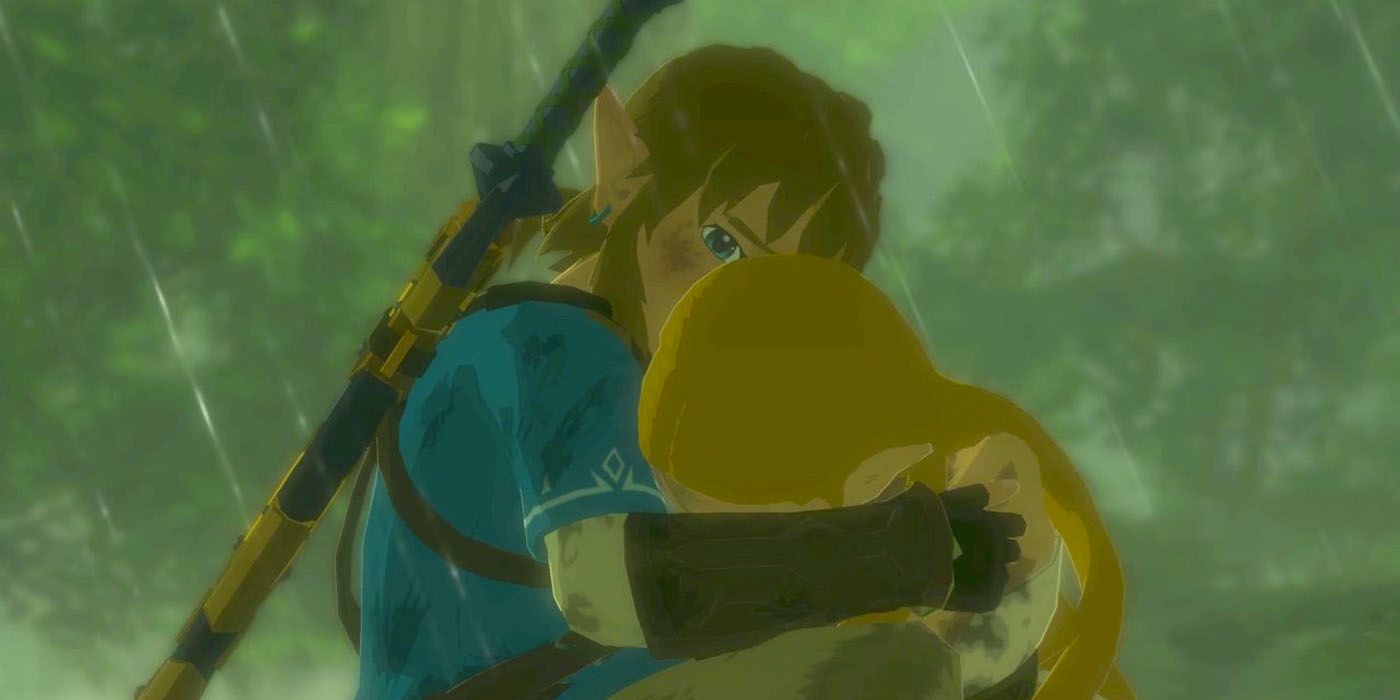 Legend Of Zelda Breath Of The Wild Link Cradling Princess Zelda In His Arms