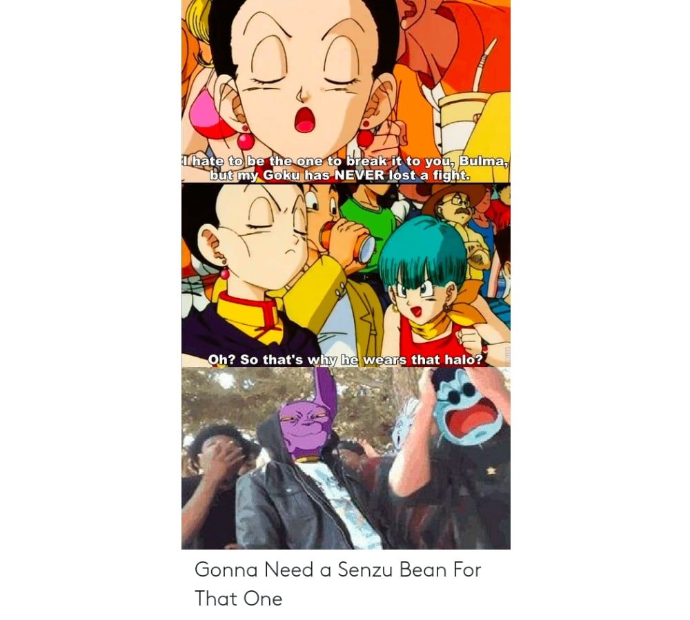 Dragon Ball: 10 Funny Bulma Memes That Will Make You Cry Laughing