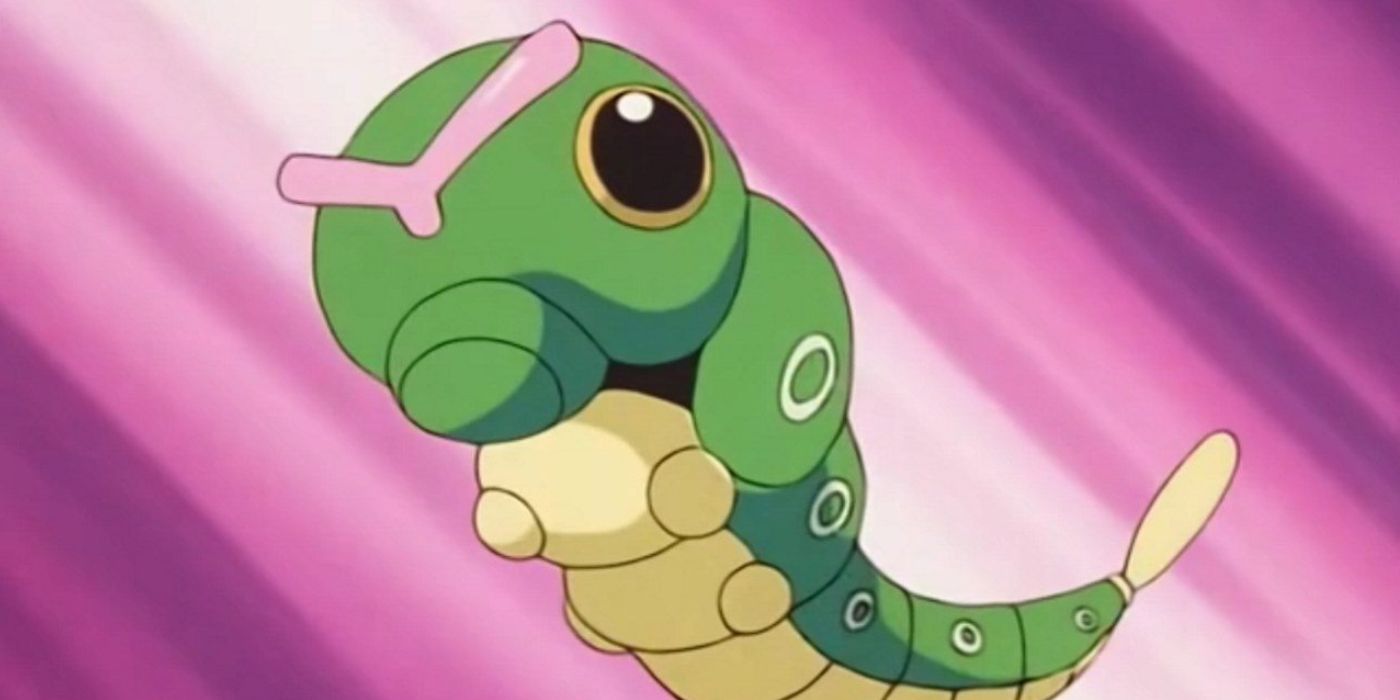 Caterpie in the Pokemon anime in front of a pink background