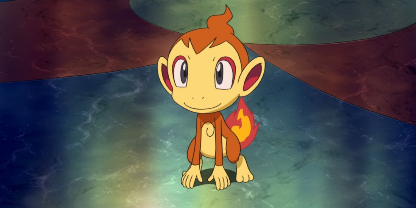 Paul and Ash's Chimchar in the Pokemon anime