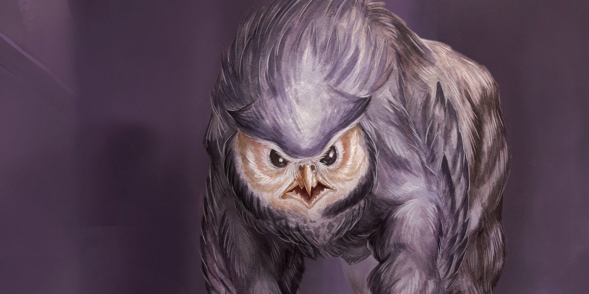 An owlbear from D&D looks upset