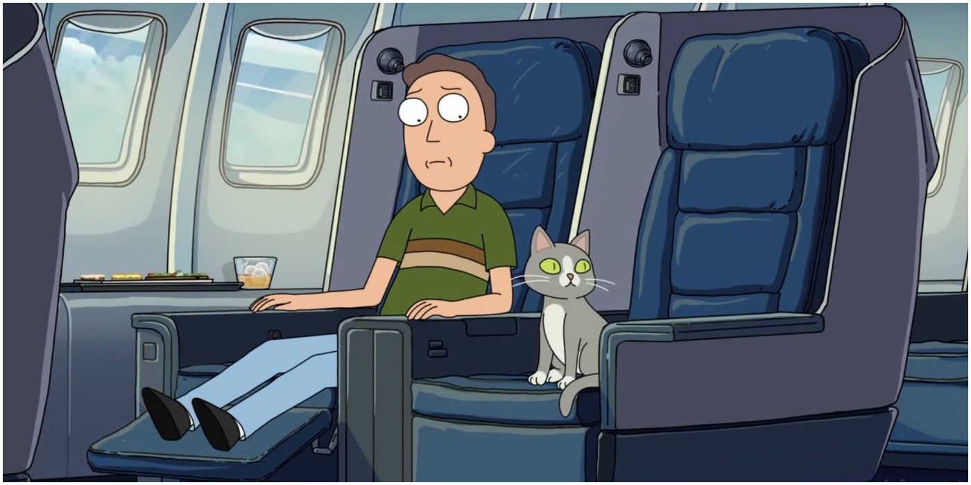 Jerry Talking Cat - Rick and Morty