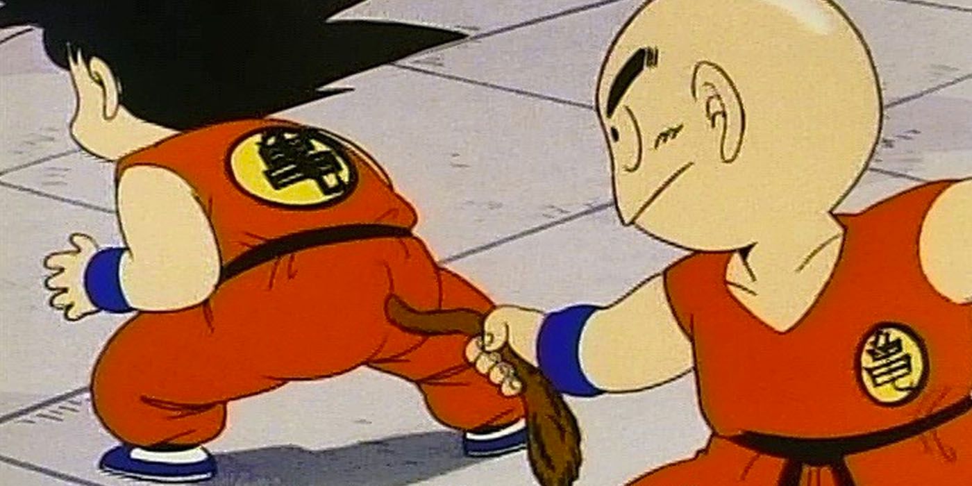 Krillin vs Goku