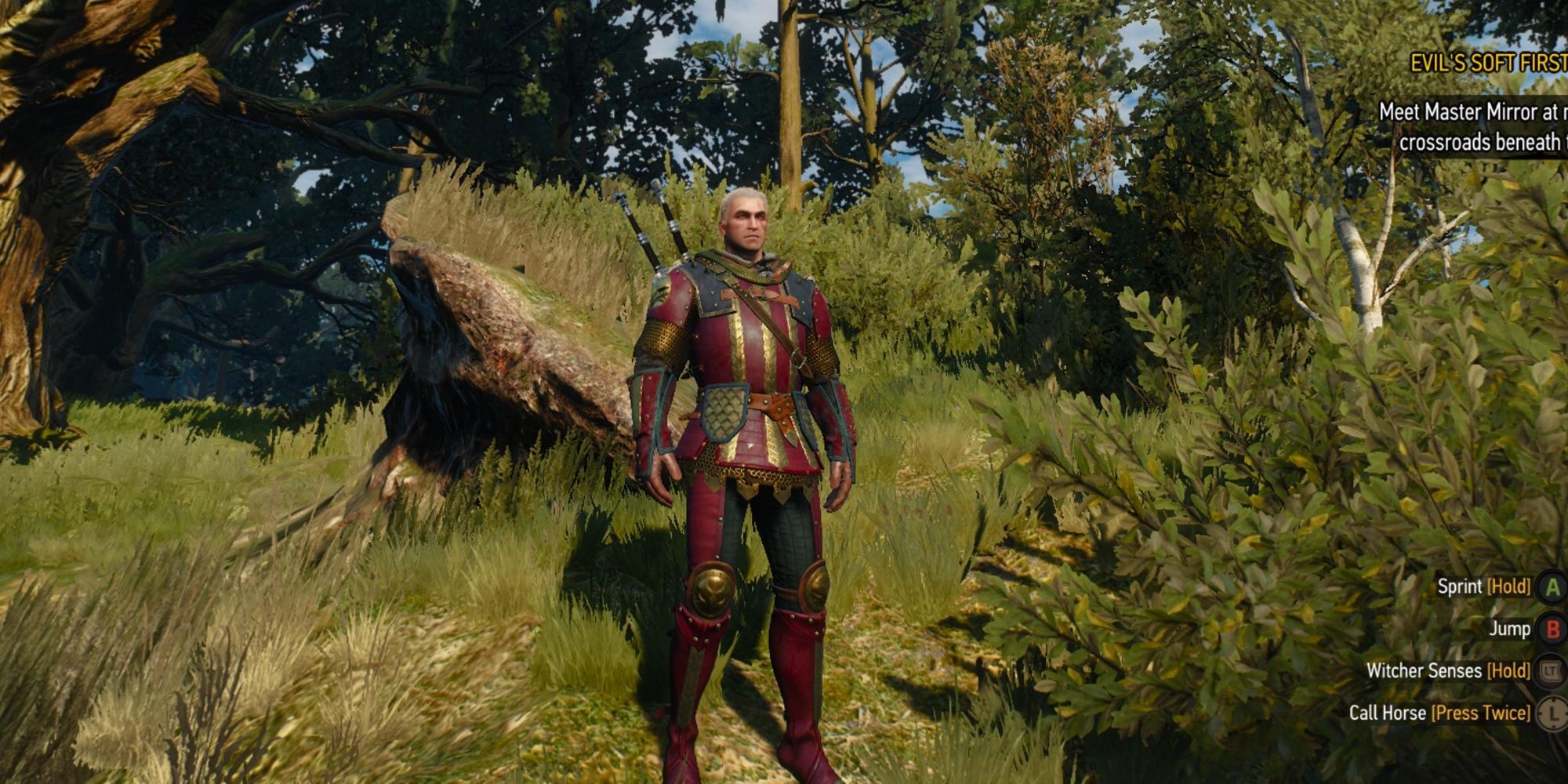 Coolest Armor in Witcher.