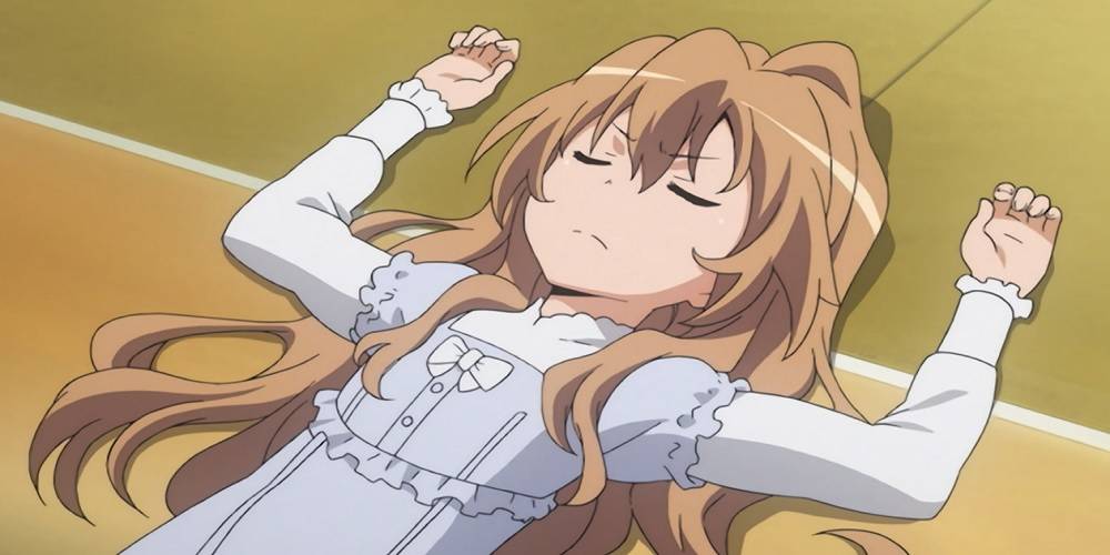 Featured image of post Toradora Characters Names Toradora is a combination of the names of the two main characters