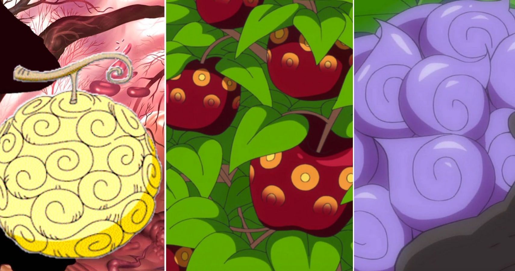 One Piece 10 Things You Didn T Know About Devil Fruit