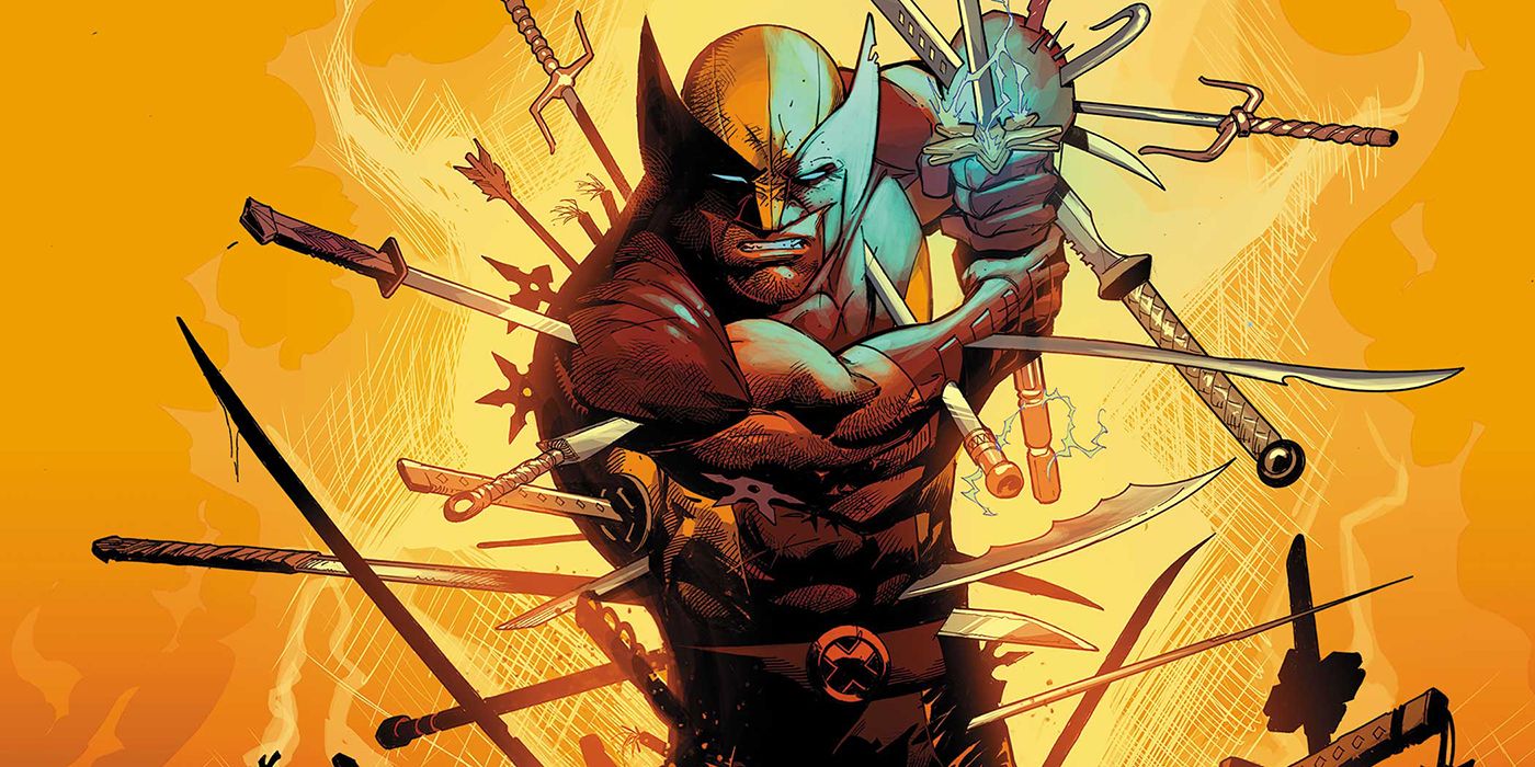 Wolverine in fantasy terms might be an ideal paladin.