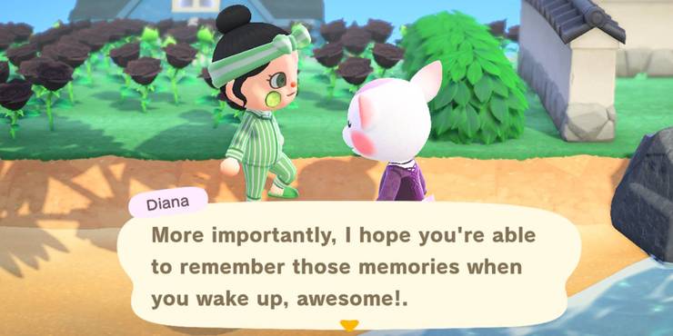Animal Crossing A Complete Guide To The Dream Suite Cbr Animal Crossing A Complete Guide To The Dream Suite Cbr