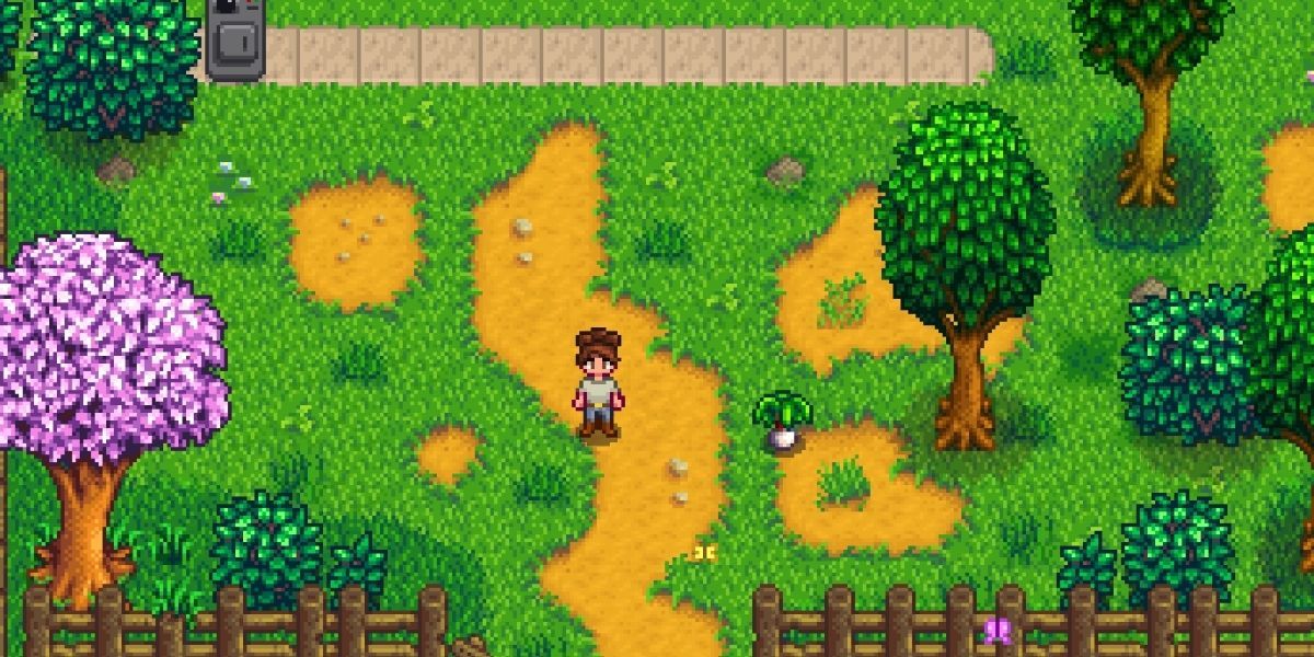 A character from Stardew Valley stands in their garden