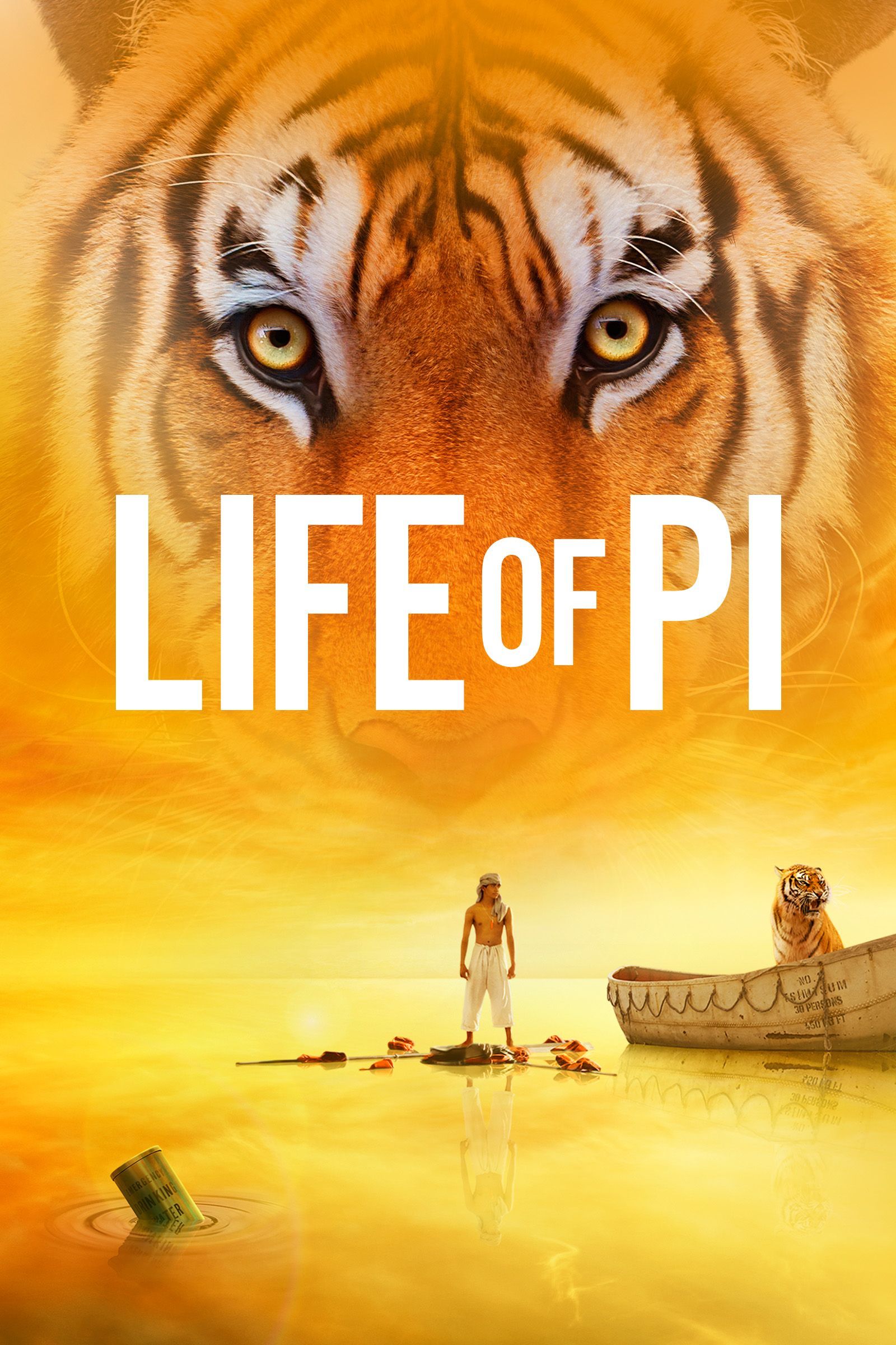 Life of Pi film poster art with a tiger looming over the water