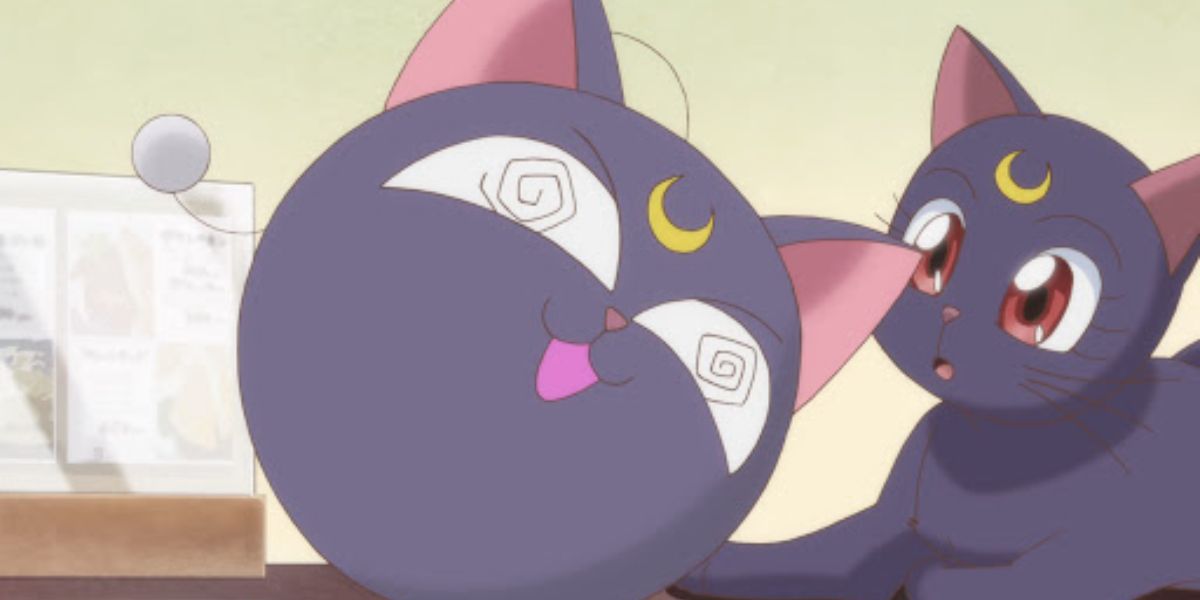 Sailor Moon 10 Things That Make No Sense About Luna