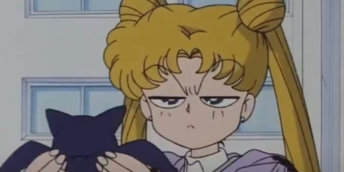 Luna Restore Memory Sailor Moon