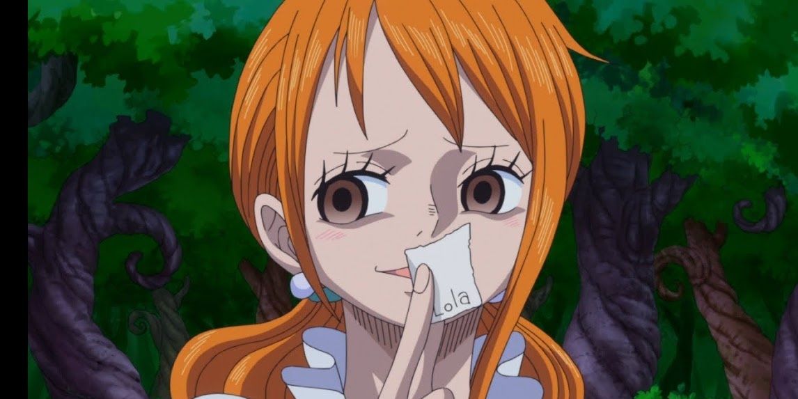 One Piece 5 Ways Nami Changed After The Time Skip (& 5 Ways She Stayed The Same)