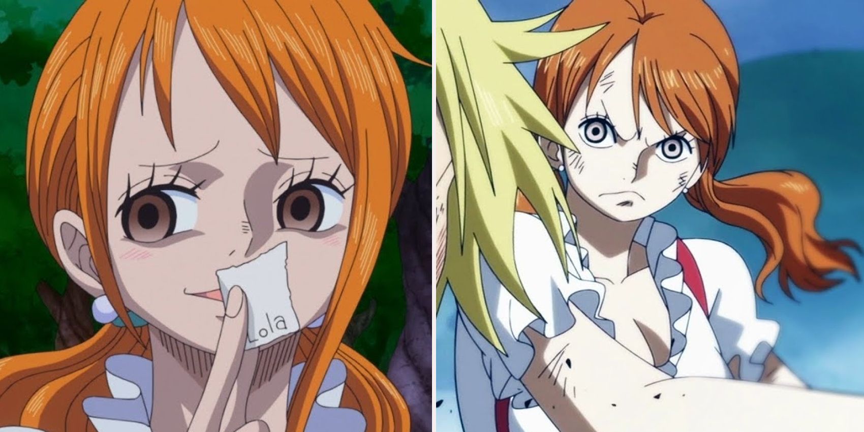 Nami One Piece Time Skip