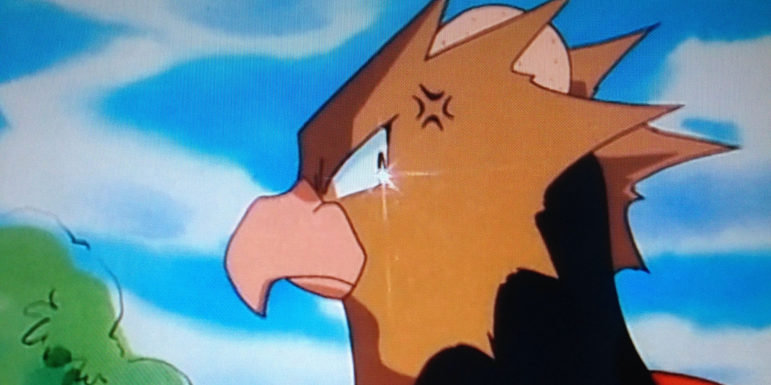 Anime Pokemon Injured Spearow Angry