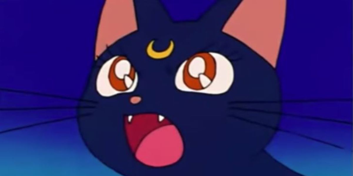 Luna looking shocked in Sailor Moon.