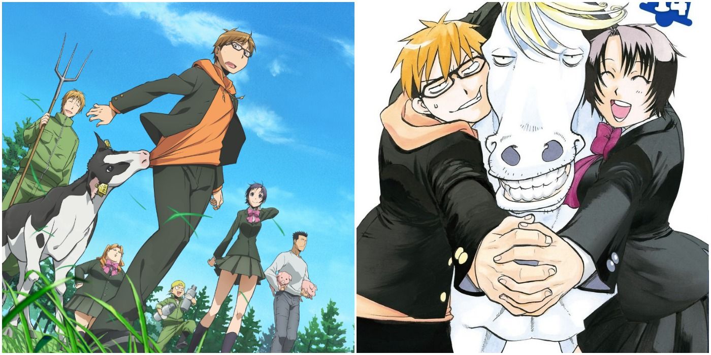Silver Spoon: 10 Things You Didn't Know About The Slice Of Life Anime