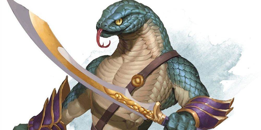 Dungeons & Dragons: 10 Best Character Species For Your Next Sorcerer